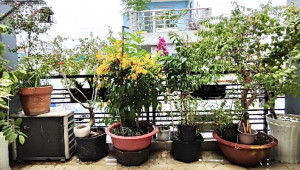 Bán nhà 248/2 Bùi Thị Xuân, Tân Bình. DT: 3.8m x 12.0m, diện tích: 41m2 giá: 7.4 tỷ