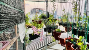 Bán nhà 38/13/1 Nghĩa Hoà, Tân Bình. DT: 3.0m x 3.0m, diện tích: 0m2 giá: 2.9 tỷ