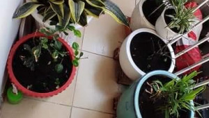 Bán nhà 536/23/1A Âu Cơ, Tân Bình. DT: 3.1m x 6.3m, diện tích: 0m2 giá: 2.3 tỷ