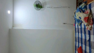 Bán nhà 168/16/17/4 Trần Văn Quang, Tân Bình. DT: 5.0m x 8.0m, diện tích: 0m2 giá: 3.5 tỷ