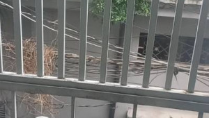 Bán nhà 107/26/3 Ni Sư Huỳnh Liên, Tân Bình. DT: 3.8m x 11.0m, diện tích: 40m2 giá: 5.4 tỷ