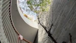 Bán nhà 49/9 Phạm Văn Bạch, Tân Bình. DT: 10.0m x 26.0m, diện tích: 226m2 giá: 19.0 tỷ